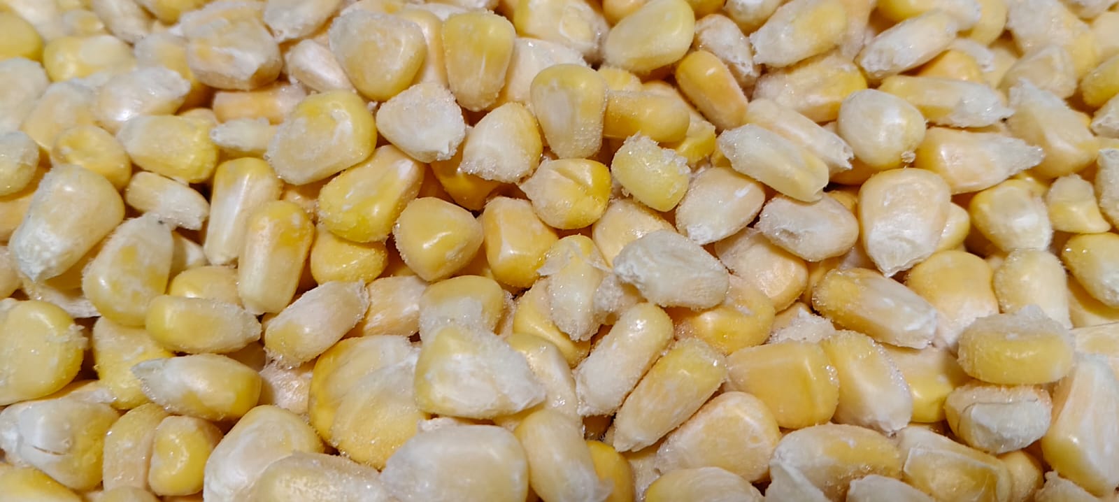 Frozen Sweet Corn