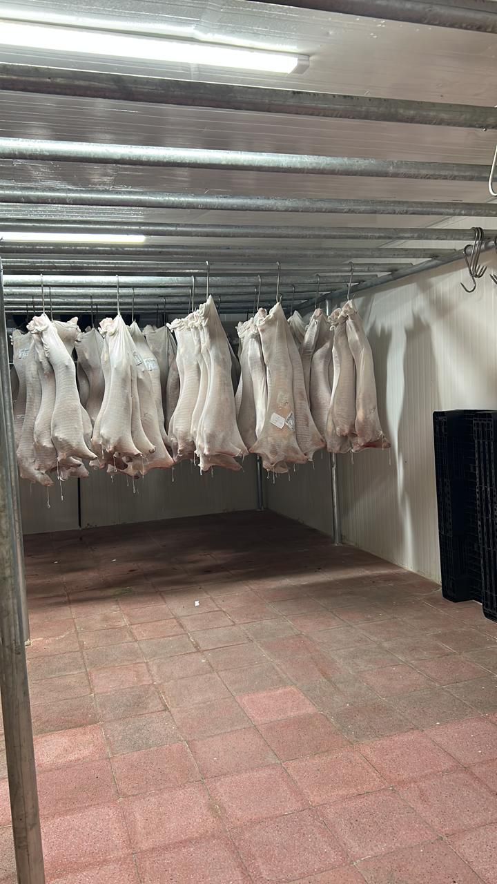 Buffalo Meat Exporters