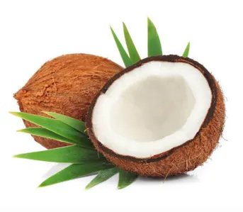 Semi Husk Coconut Exporter from India