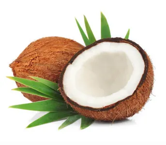 Coconut Exporters in India