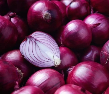 Onion Exporter