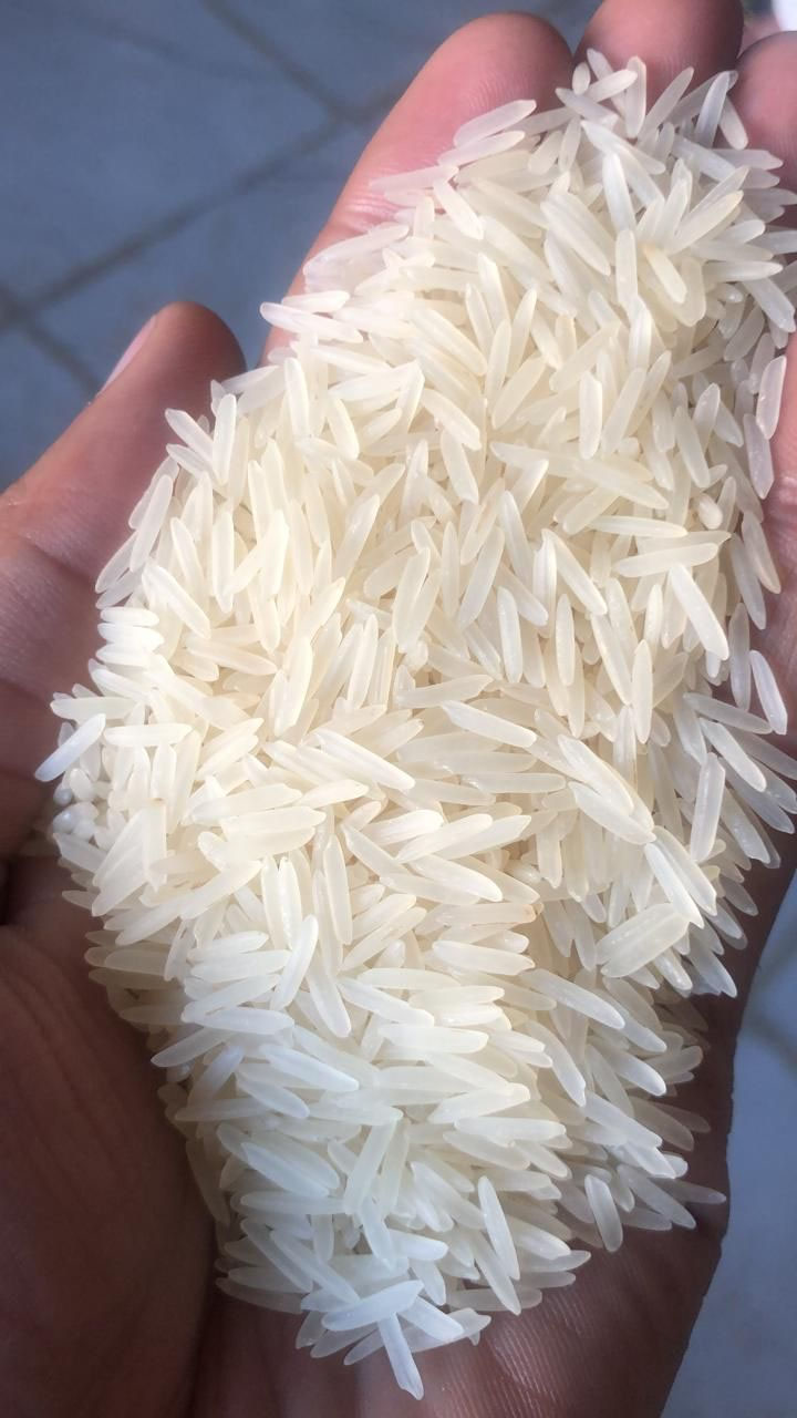 Basmati and Non Basmati Exporter from India