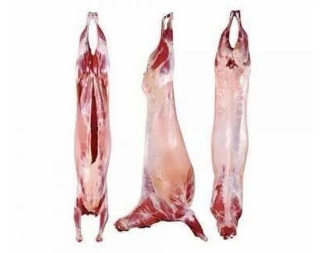 Sheep & Goat meat exporter from India