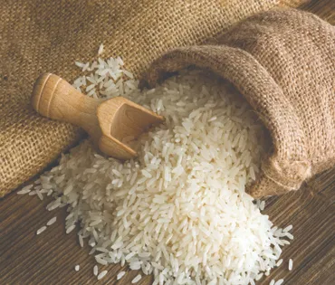 Rice Exporter in India